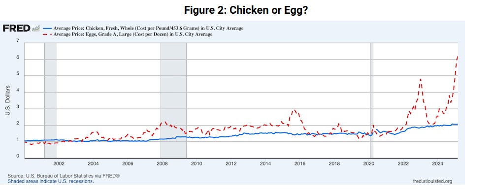 Page One Egg News Thumbnail Pic