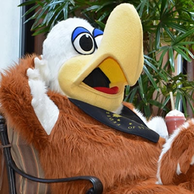 Fred the Frugal Eagle